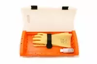 Sibille RGX-BGT Protective Case